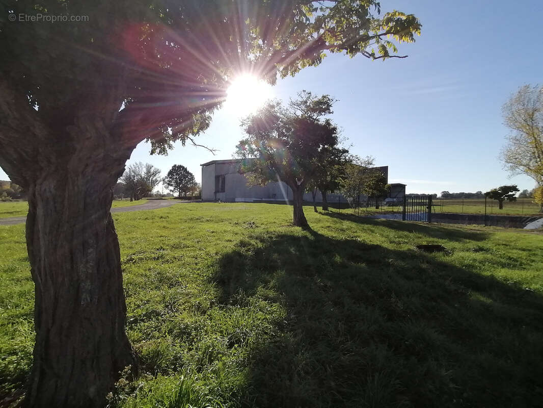 Commerce à TOULOUSE