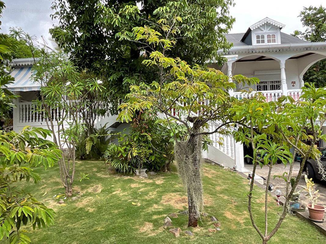 Maison à BASSE-TERRE