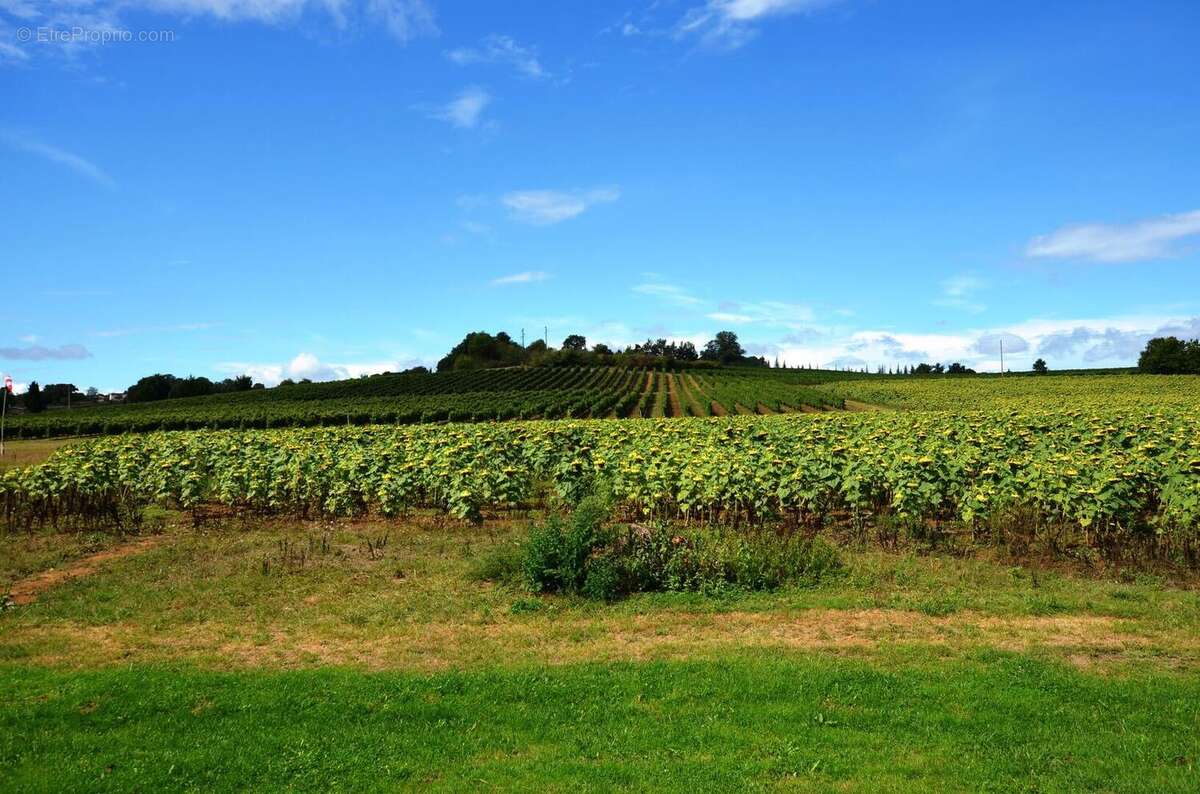 042 - Maison à EAUZE
