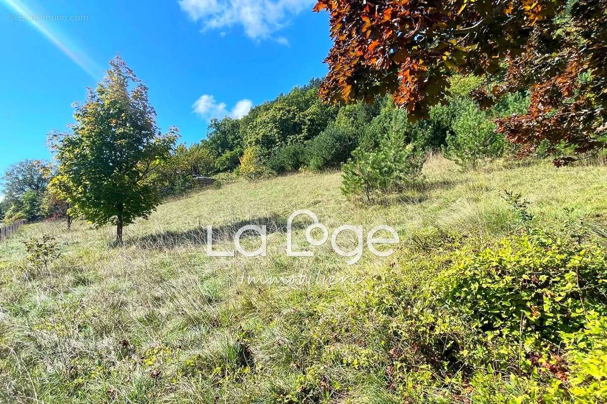 Terrain à LA FREISSINOUSE