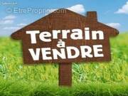 Terrain à BELIN-BELIET
