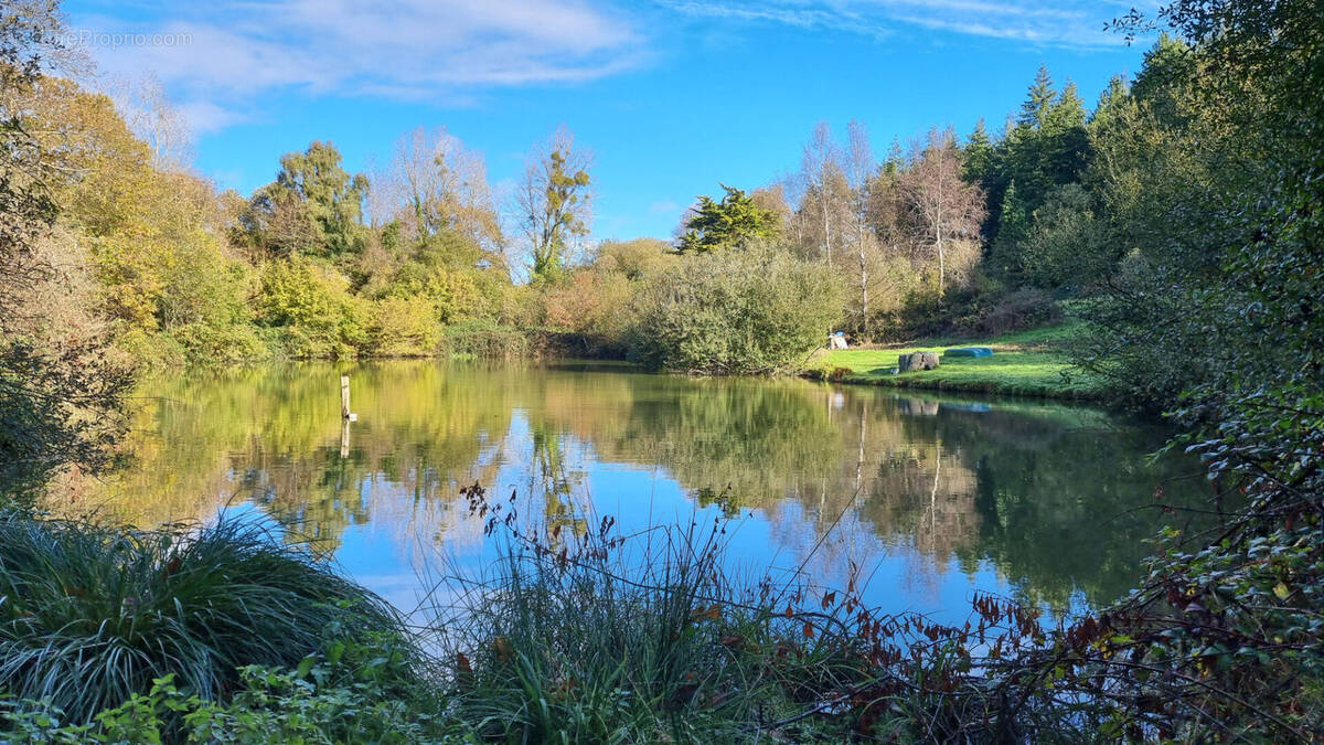 Terrain à MENEAC