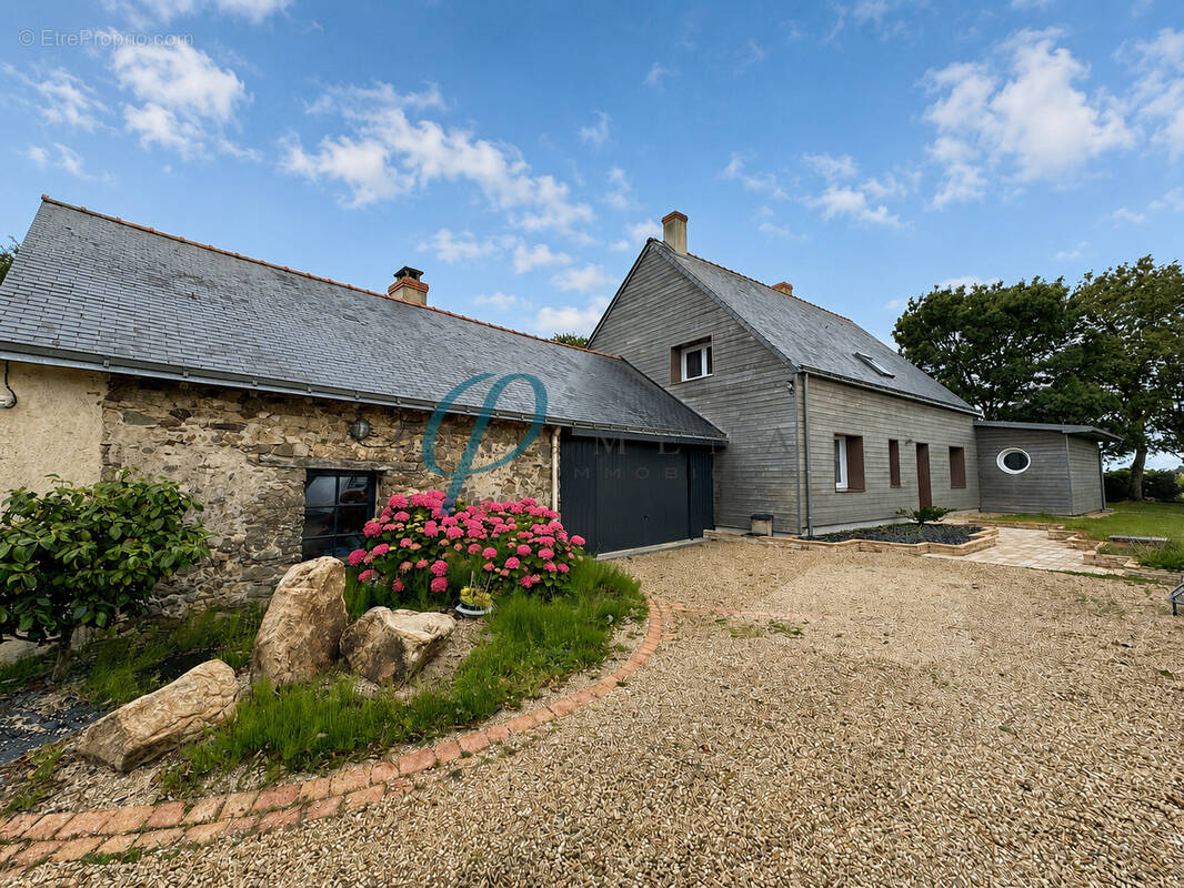 Maison à MESANGER