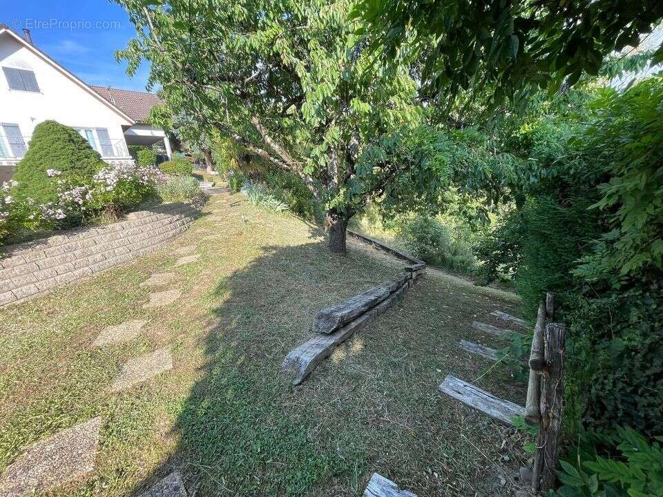 Maison à CRANVES-SALES