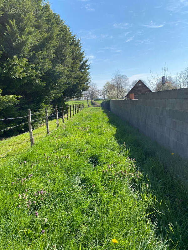 Terrain à SAINT-LEGER-LES-PARAY