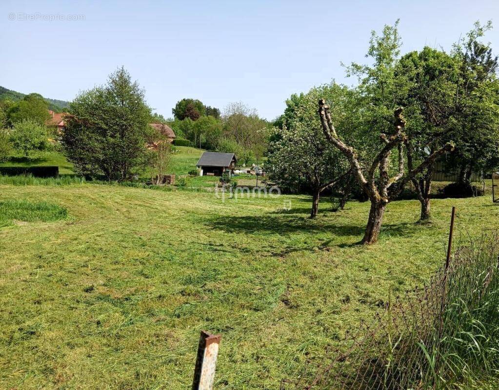 Terrain à MASEVAUX