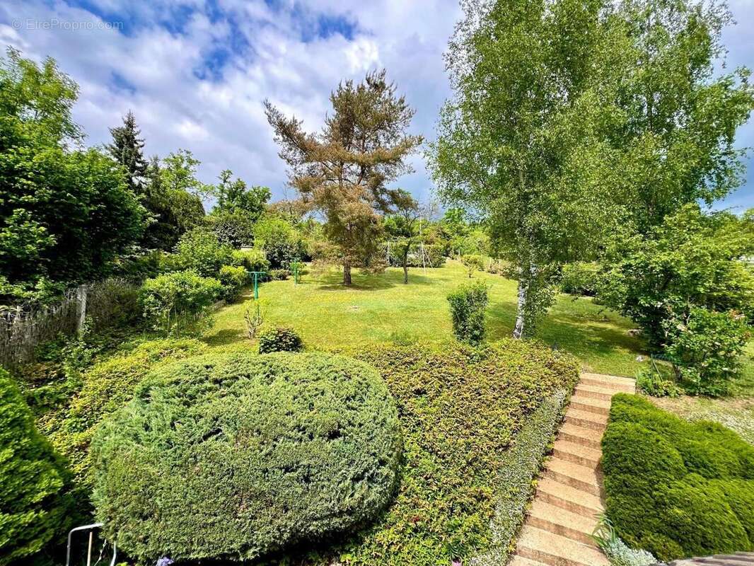 Photo 3 - Maison à VILLENEUVE-SUR-YONNE