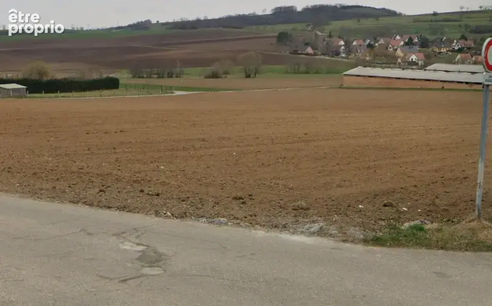 Terrain à WILLGOTTHEIM