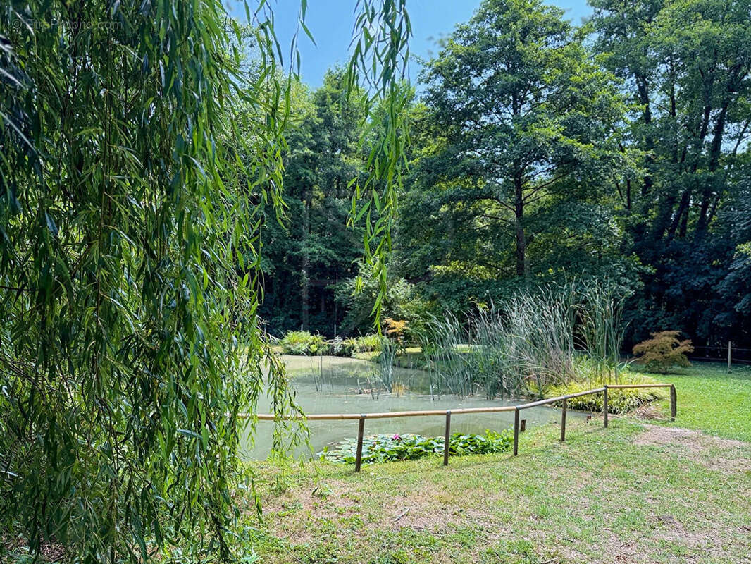 Superbe domaine à 30 minutes de Bordeaux - photo 16