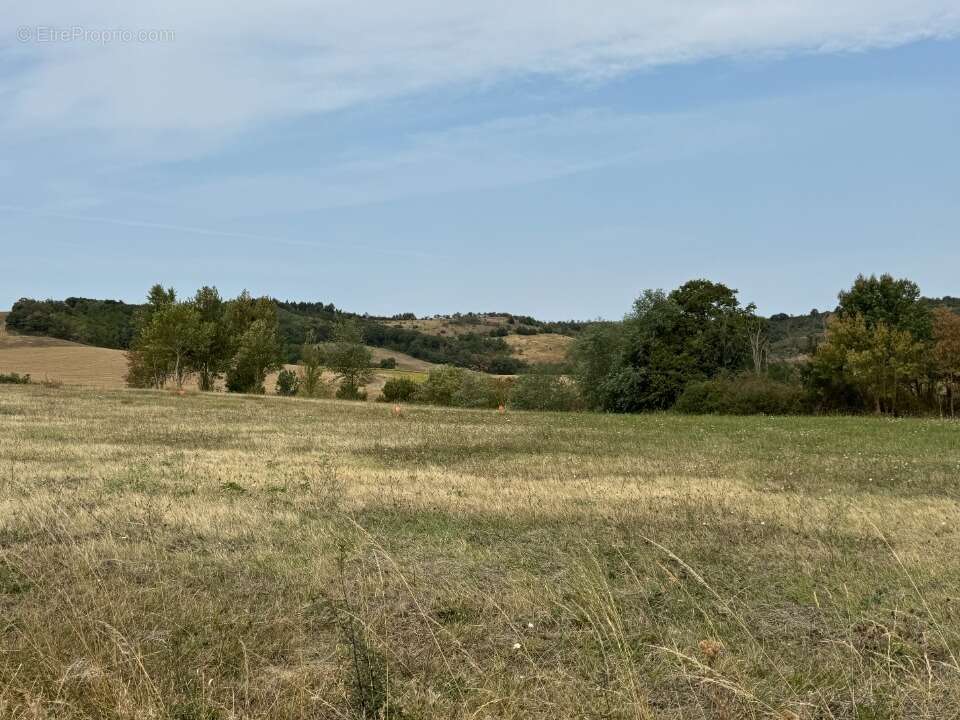 Terrain à LA CASSAIGNE