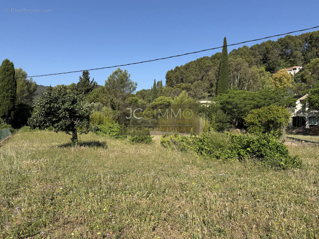 Terrain à SOLLIES-PONT