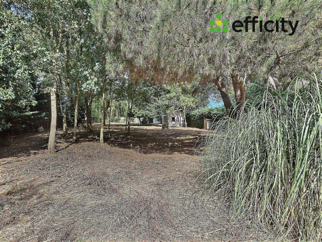 Maison à BREUIL-MAGNE