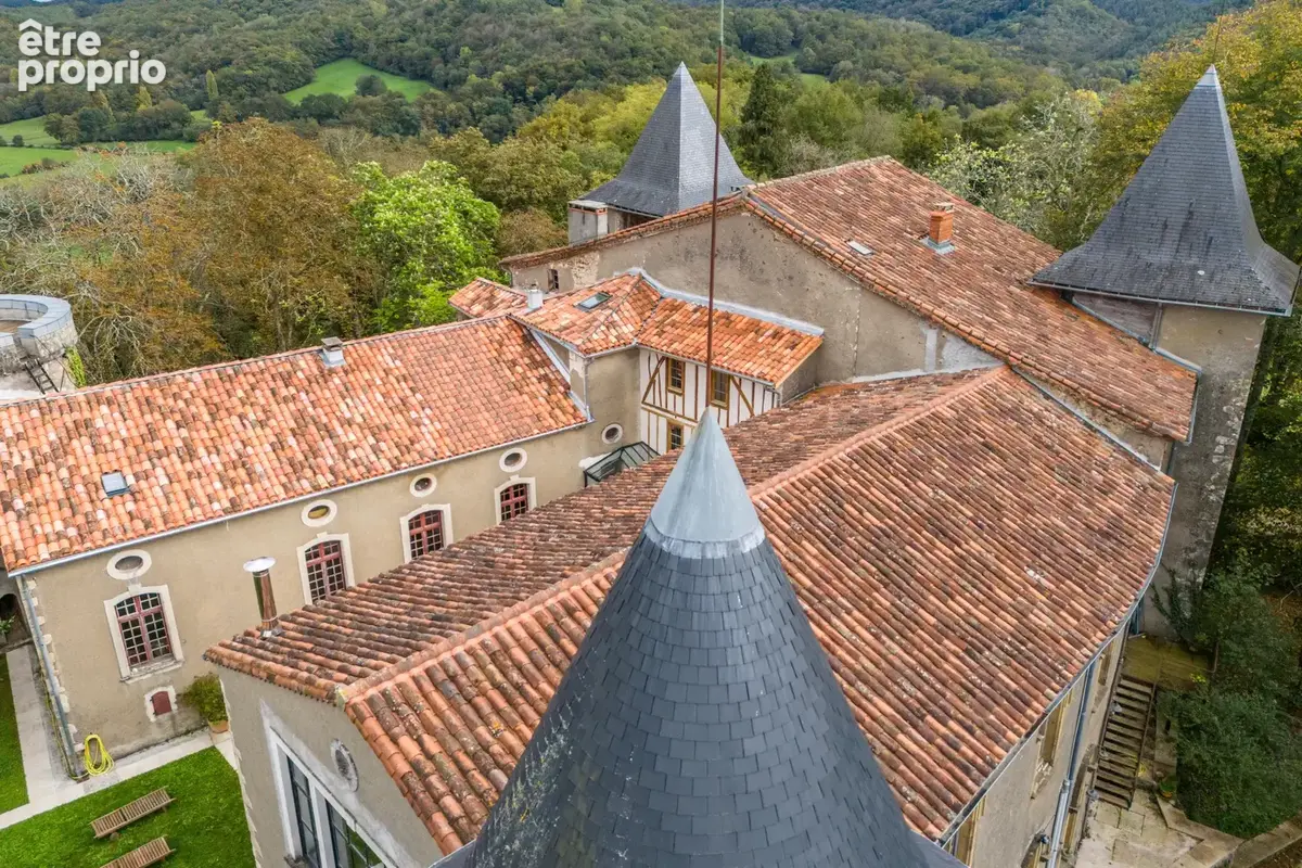Château - Une situation magnifique et des intérieurs époustouflants - photo 51