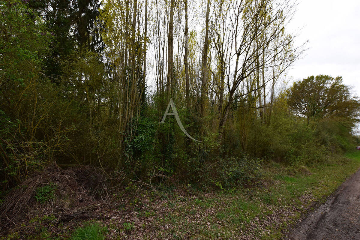 Terrain à SAINT-OUEN-EN-BRIE