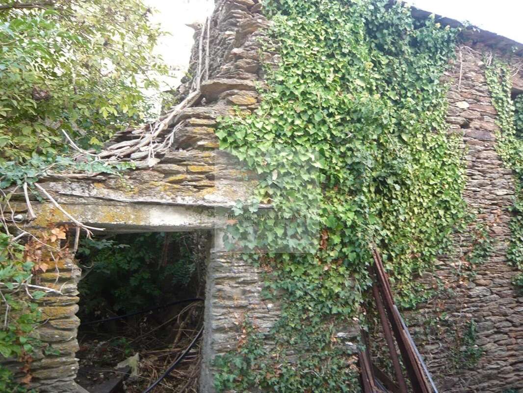 Maison à LE COLLET-DE-DEZE