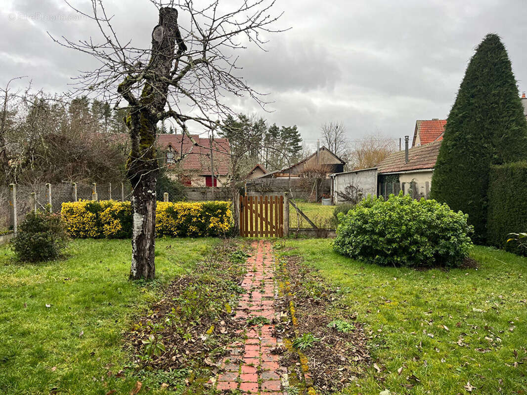 Maison à SELLES-SAINT-DENIS