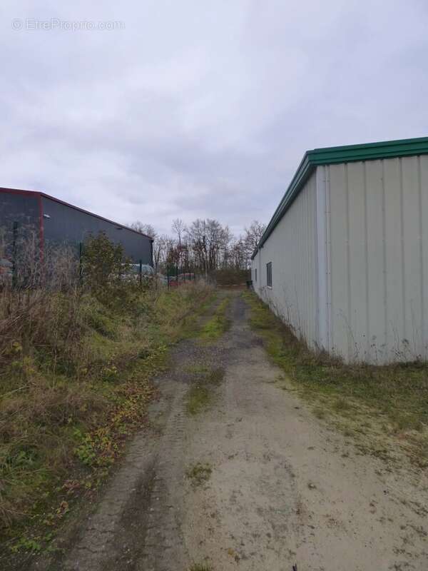 Commerce à MEREVILLE