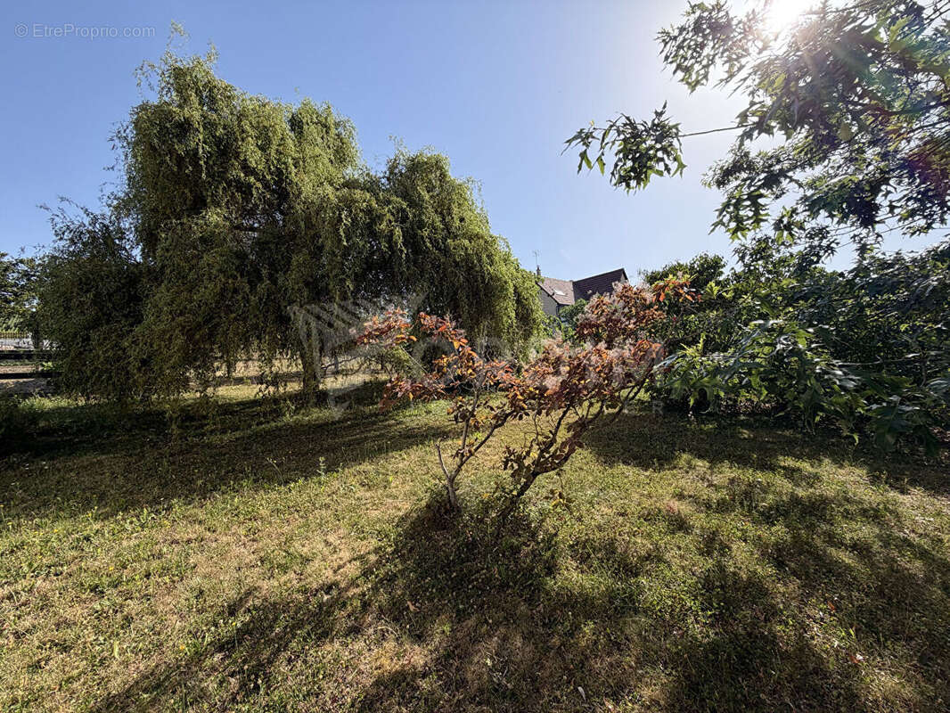 Maison à SAINT-SATUR