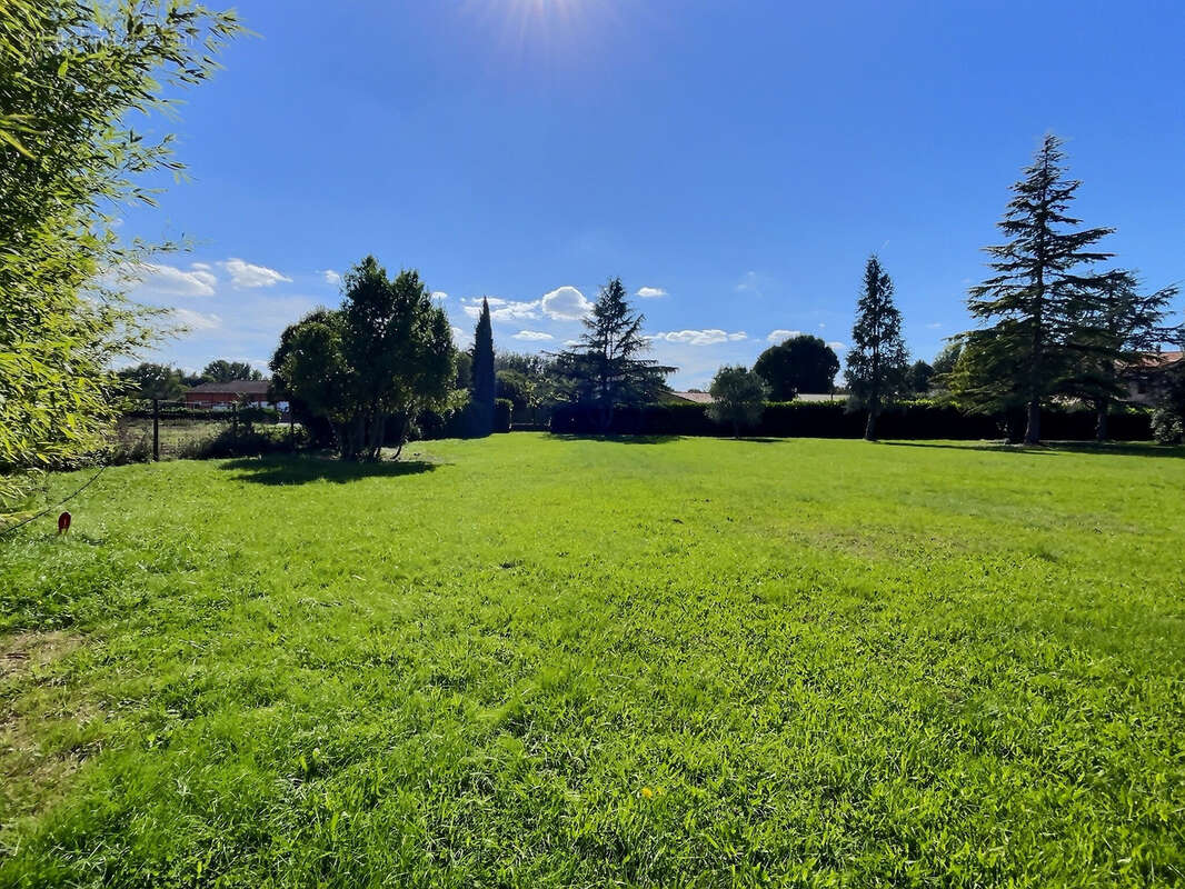 Terrain à LAVAUR