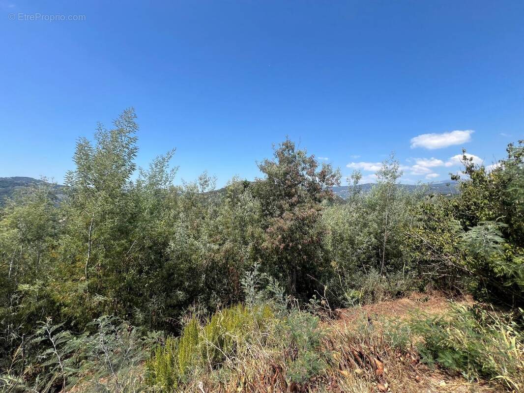 Photo 1 - Terrain à AURIBEAU-SUR-SIAGNE