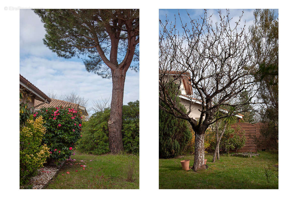 Maison à ANDERNOS-LES-BAINS