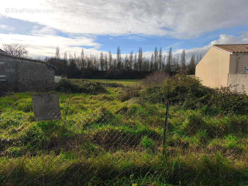 Terrain à LA LAIGNE