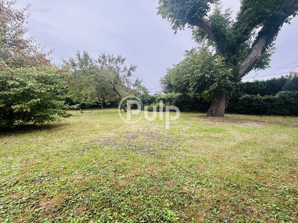 Terrain à NOYELLES-SOUS-LENS