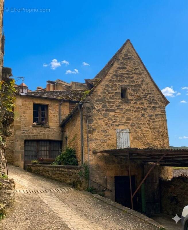 GeminiGeneratedImagetzd7hctzd7hctzd7 - Maison à BEYNAC-ET-CAZENAC