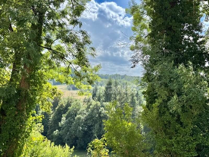 Maison à FERRIERES-SUR-SICHON
