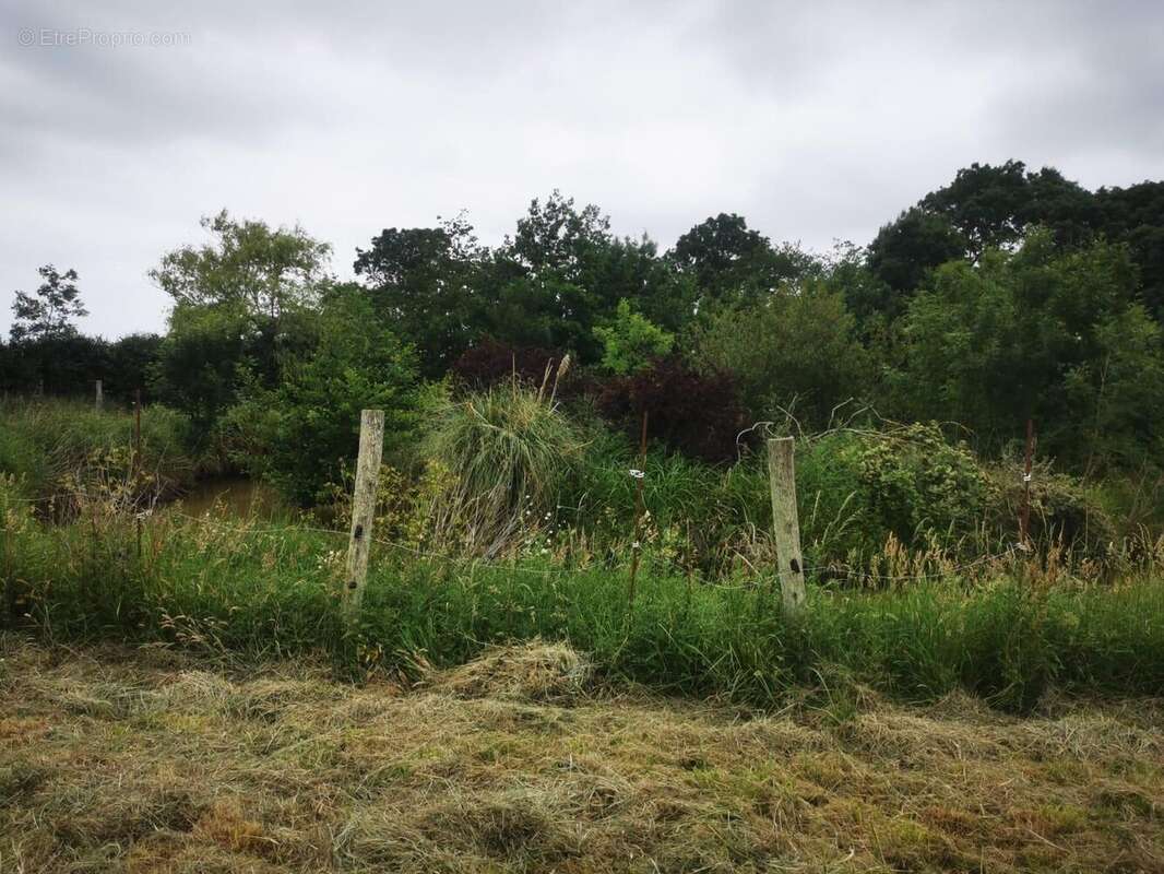 Terrain à TALMONT-SAINT-HILAIRE