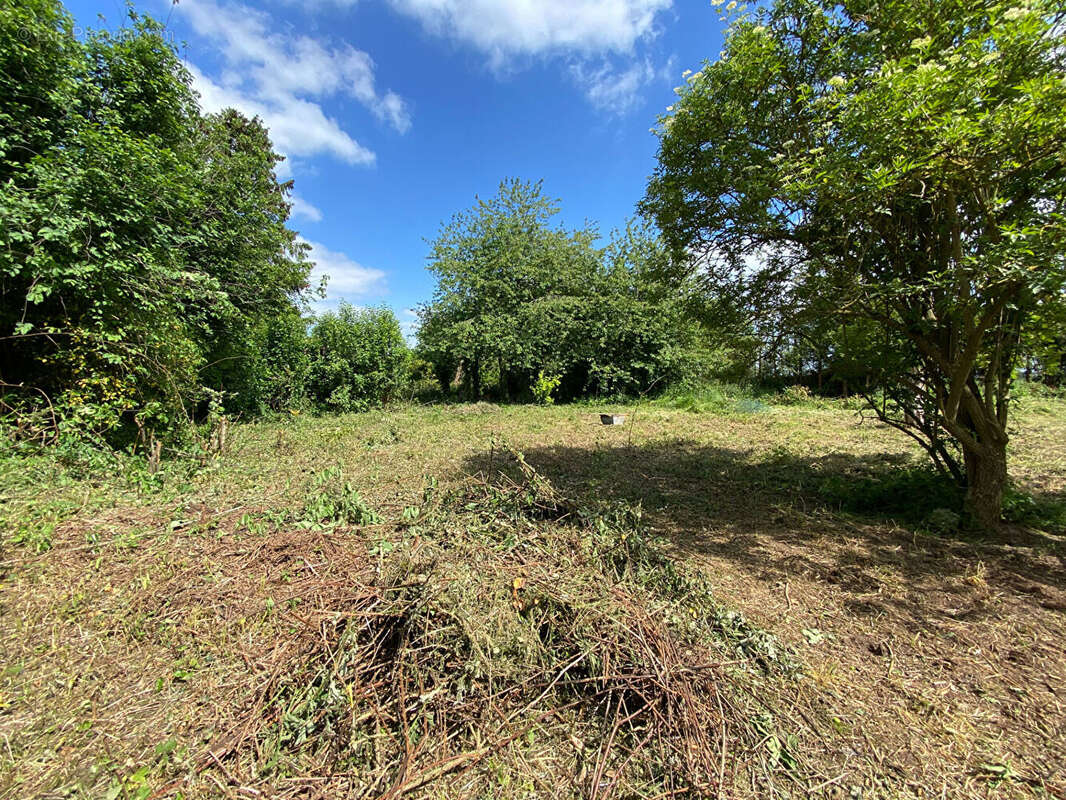 Terrain à MOISVILLE