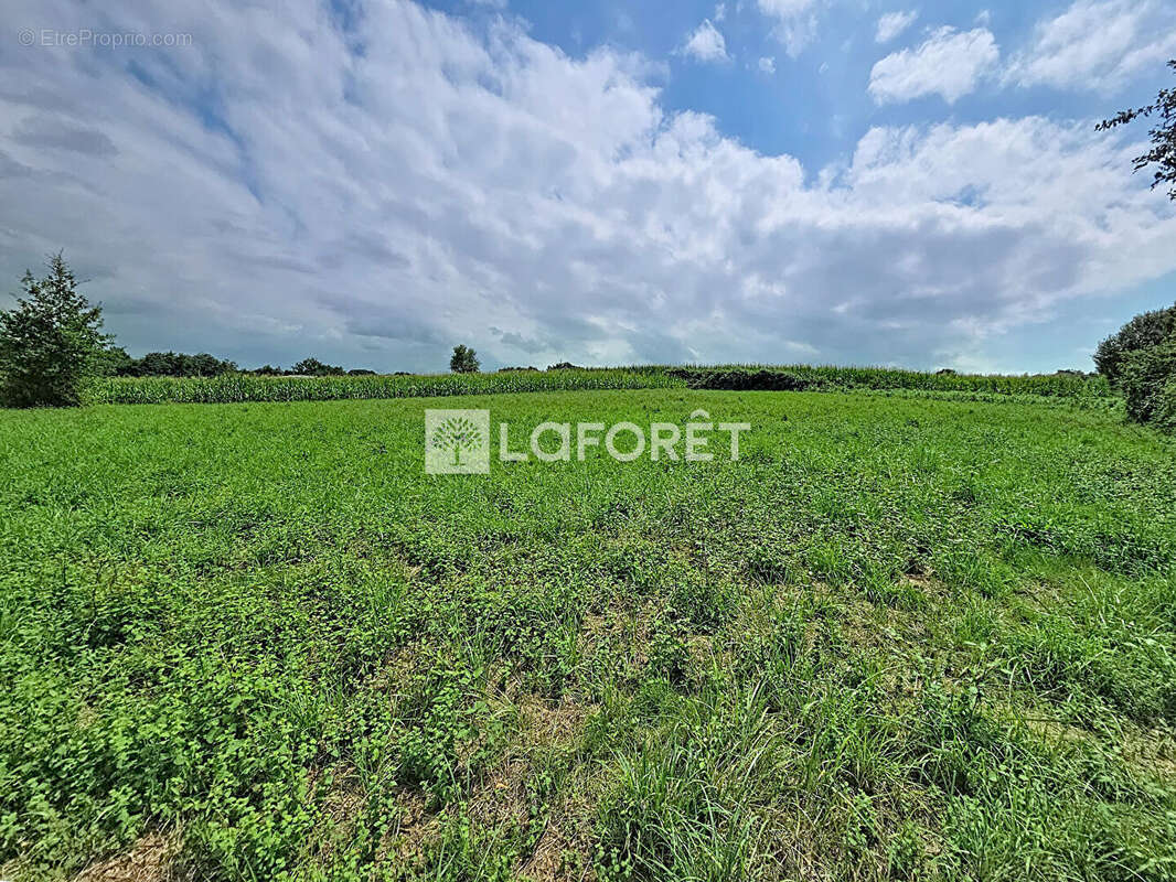 Terrain à bâtir proche Orthez 2085m² - photo 4
