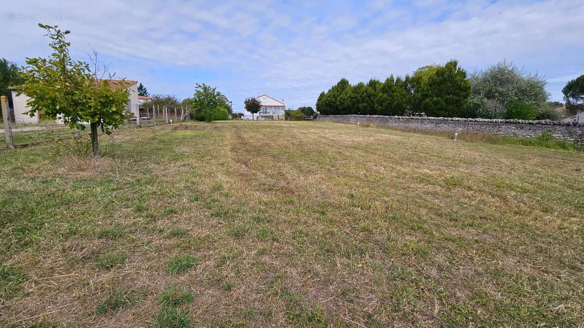 Terrain à NIORT