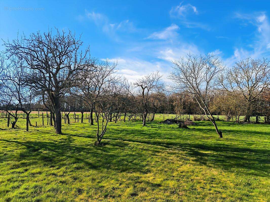 A SAISIR : ancien corps de ferme avec fort potentiel ! - photo 6