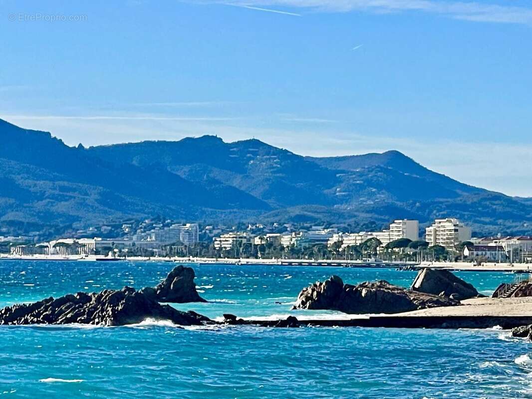 Cannes vente 3 pieces face aux plages du midi - photo 3