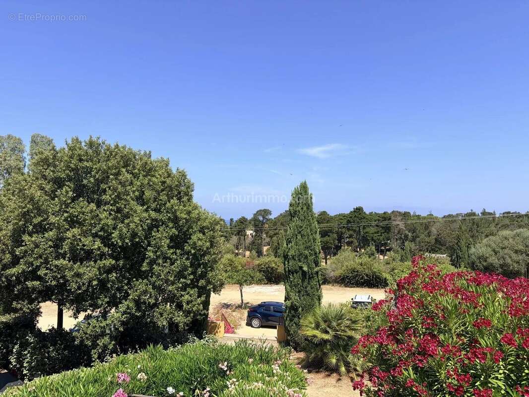 Vente Appartement L'ile-rousse(20220) 249 000ï¿œ - photo 3