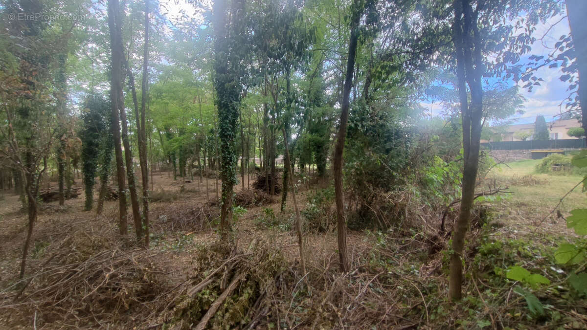 Terrain à JOYEUSE