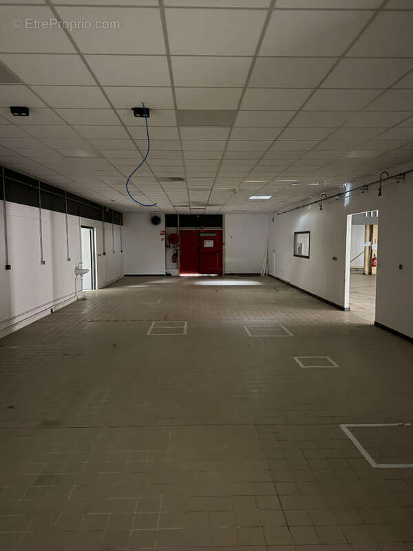 Local commercial A VENDRE 1690m² - Proche SAINT-JUNIEN - Terrain - photo 6