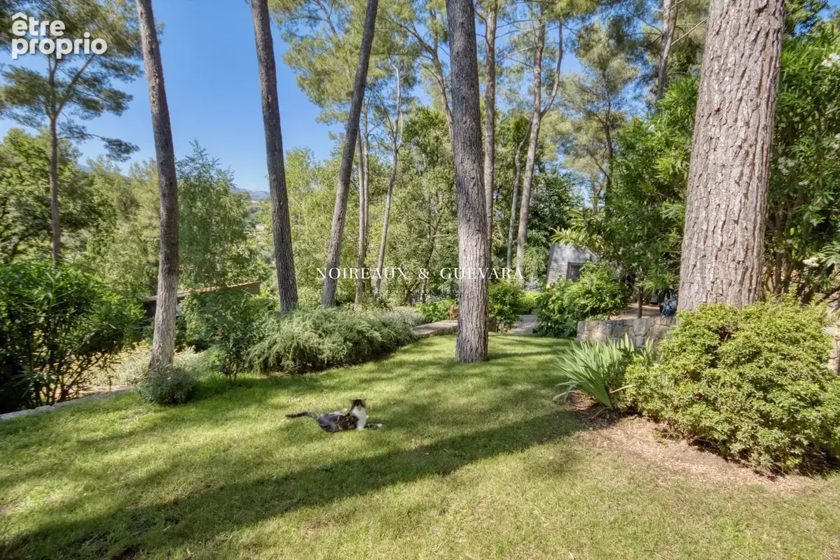 Maison 6 pièces 350 m² à vendre à Valbonne (06560) - photo 7