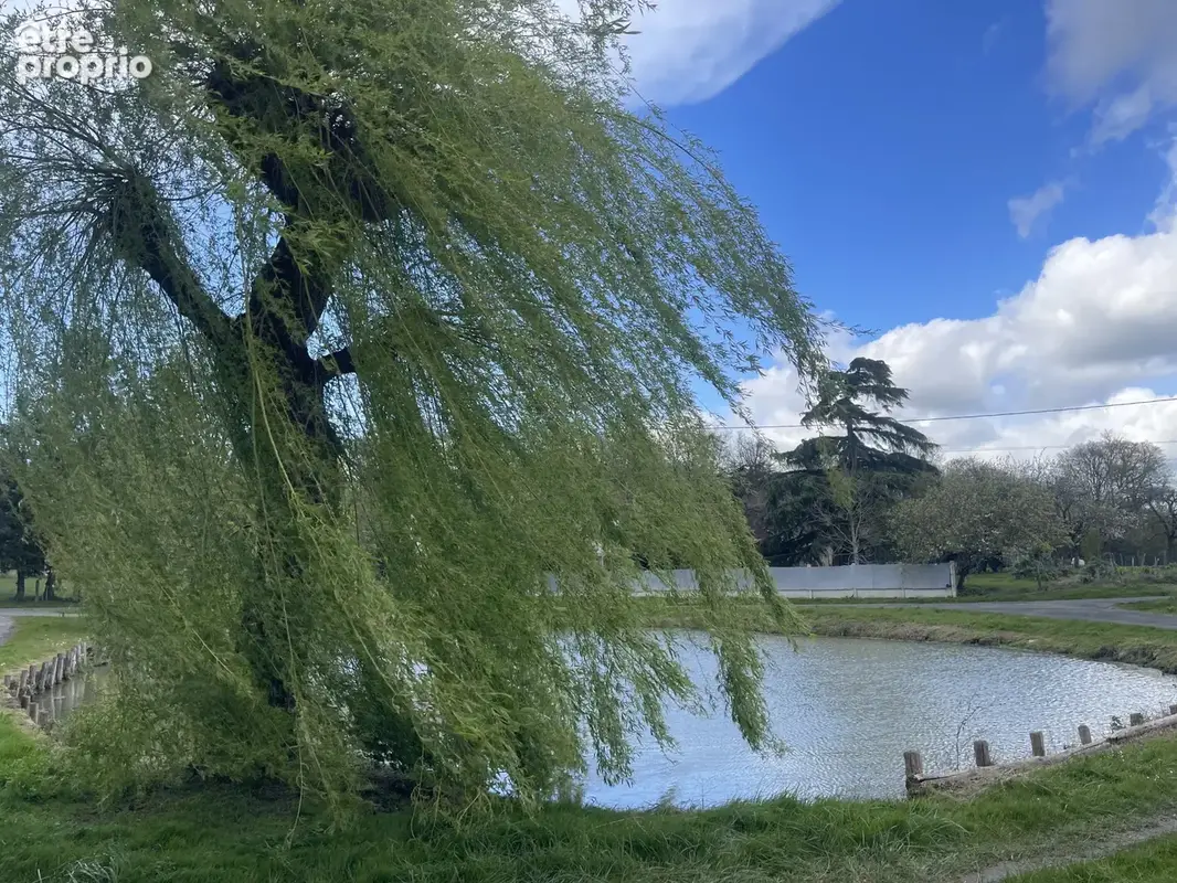 Longère rénovée avec goût - photo 20
