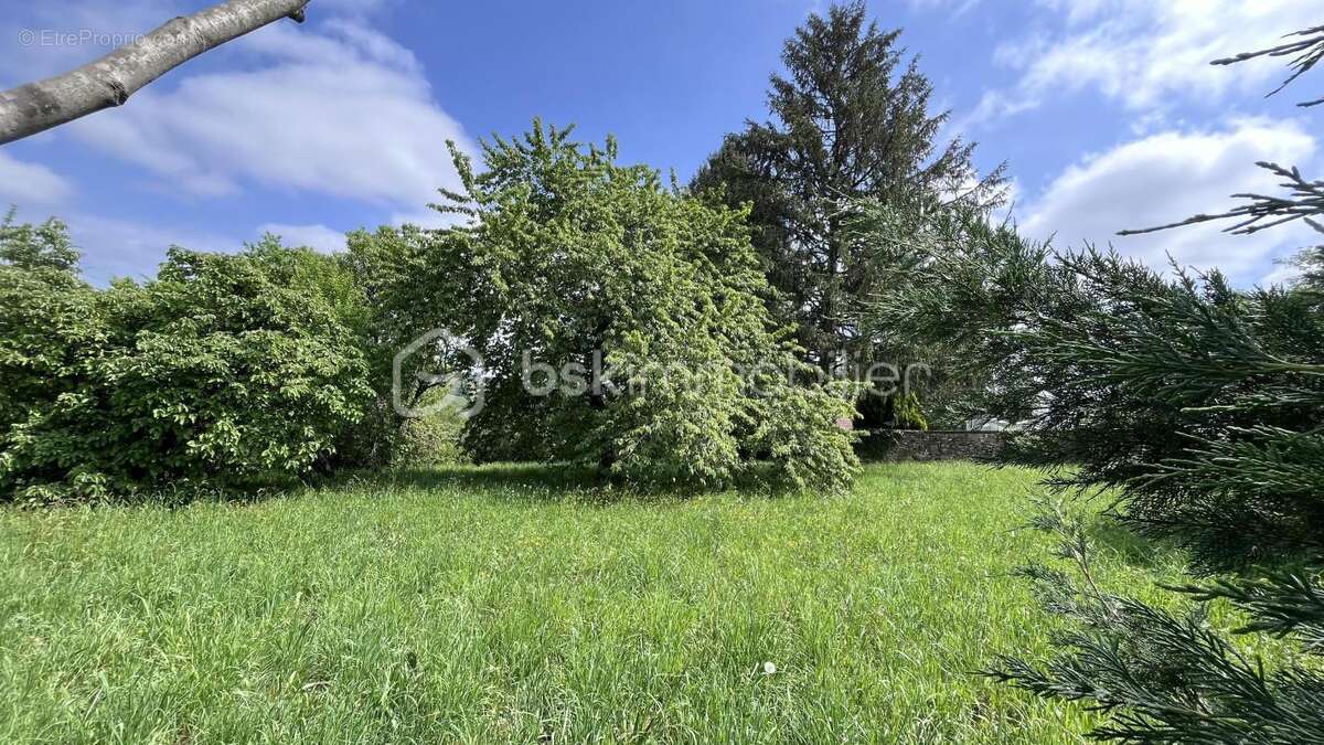 Terrain à HAUTEFORT