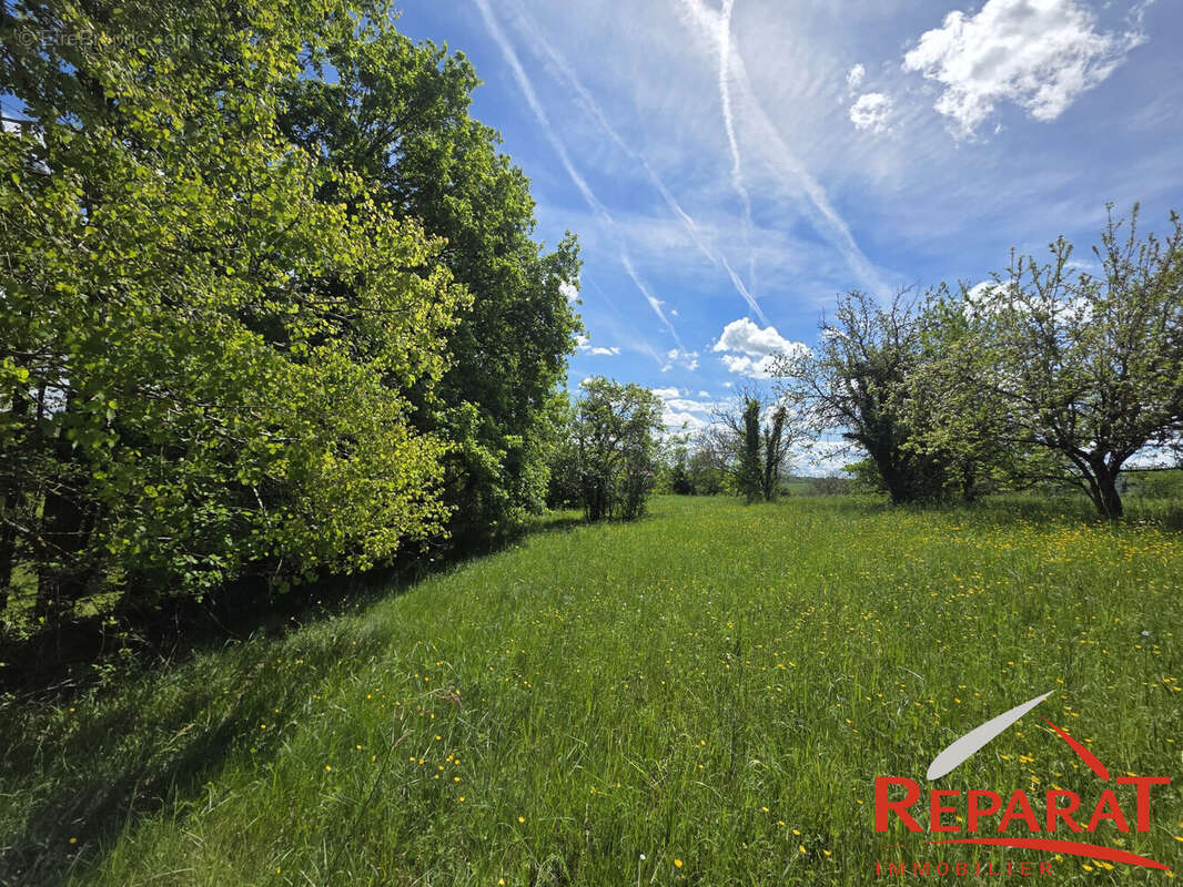 Terrain à SAINT-AULAIRE
