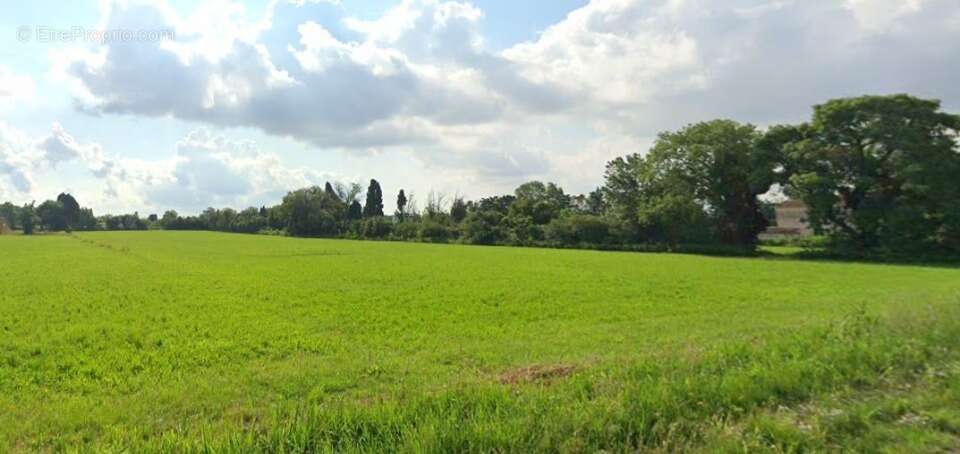 Terrain à SAINT-MARTIN-DE-CRAU