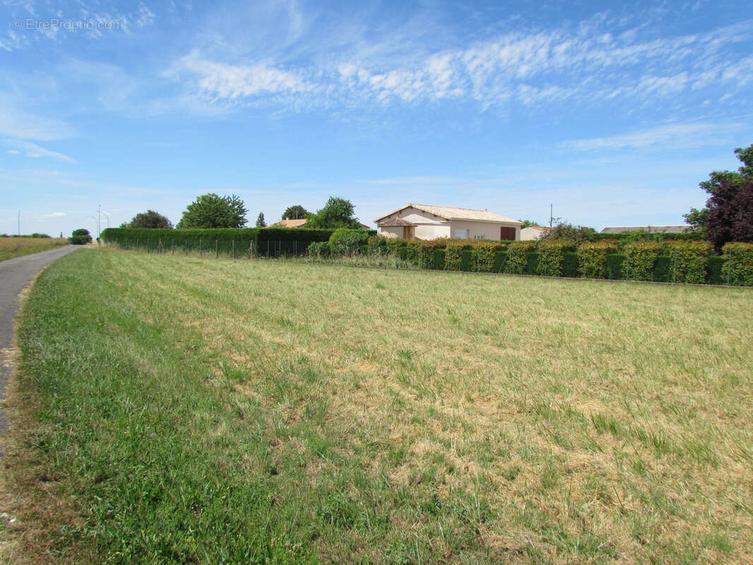 Terrain à LONNES