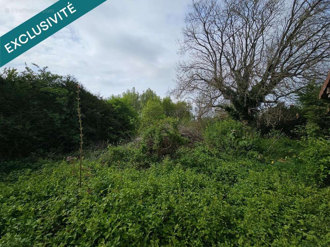 Photo 6 - Terrain à VILLIERS-SAINT-GEORGES