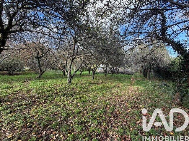 Photo 1 - Terrain à PLOZEVET