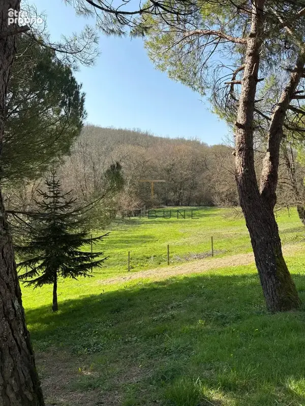 Propriété d’exception à 15 minutes d’Agen   350 m2 au cœur d’un parc d’un hectare - photo 11