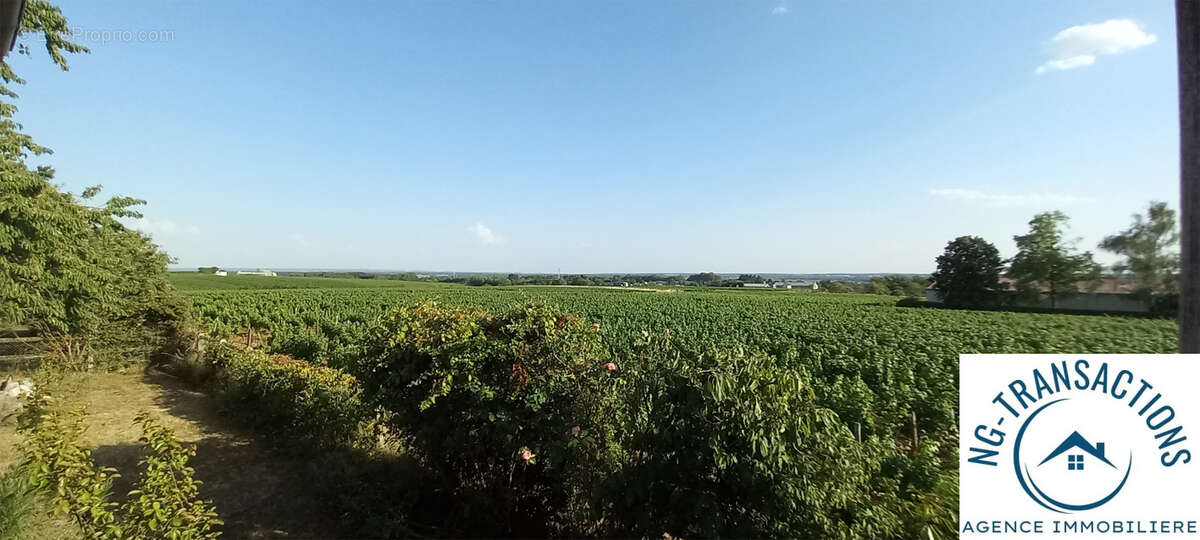 Maison à POUILLY-SUR-LOIRE