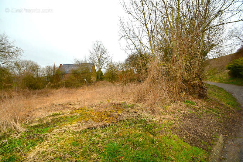Terrain à vendre  ORSINVAL (59), 544 m² - photo 2