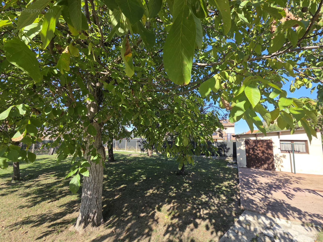 Maison à CASTELGINEST